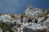 In GRIGNONE, versante nord, da Cainallo sui sentieri estivi 24 Rif. Bietti e 25 Rif. Bogani dom. 29 maggio 2011 - FOTOGALLERY